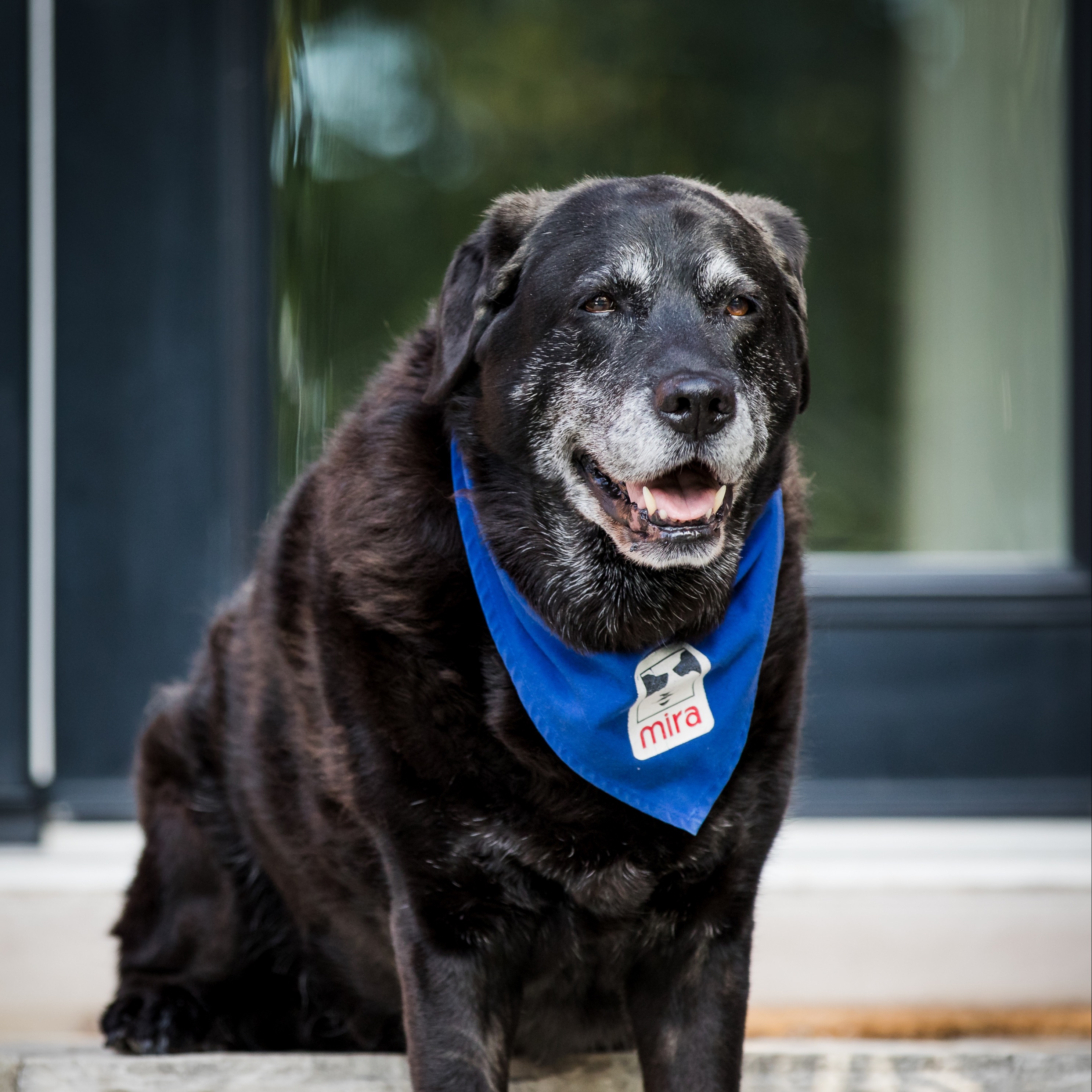 Image du participant