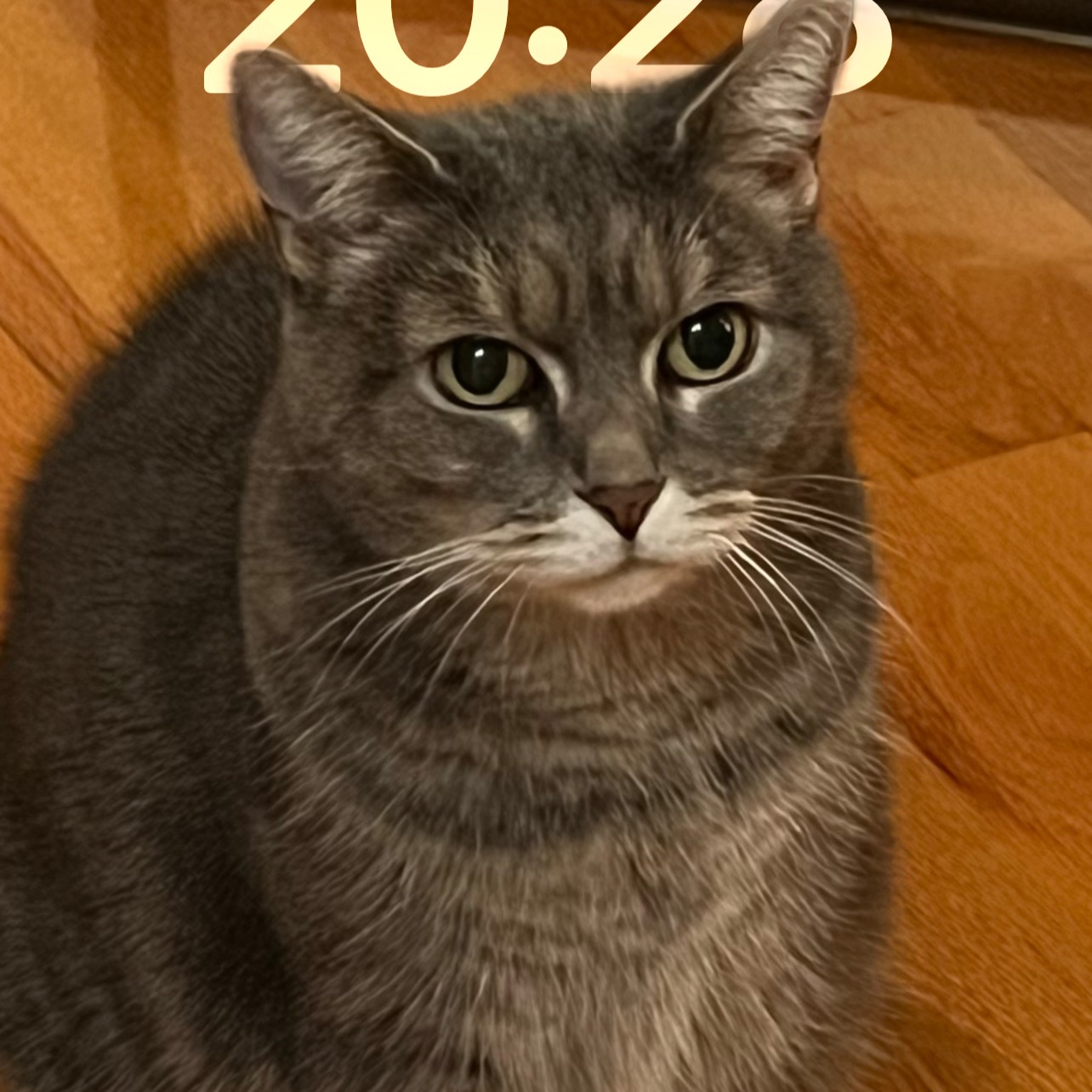 Image du participant