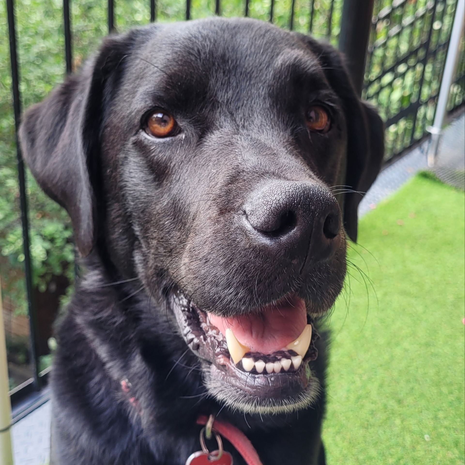 Image du participant