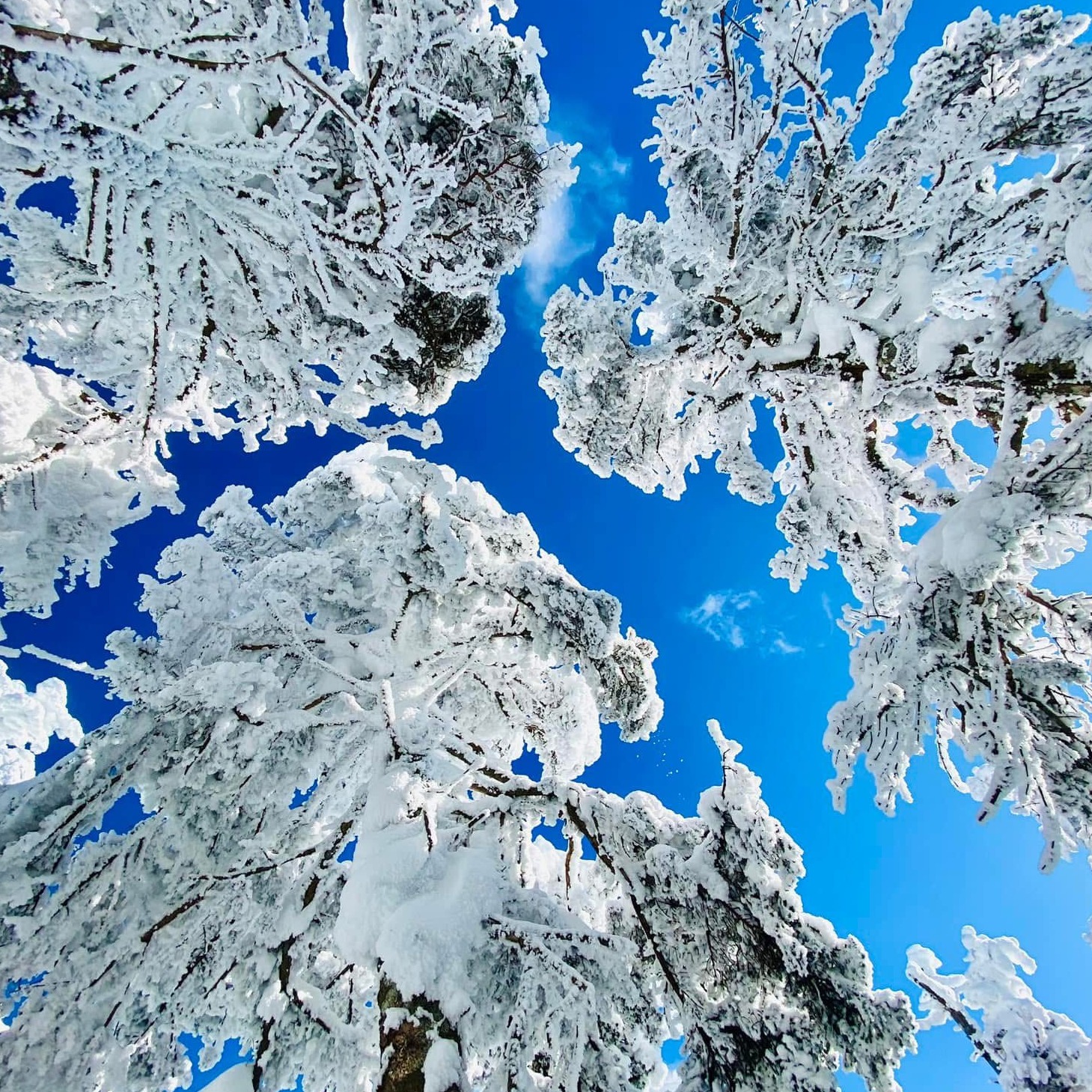 Image du participant