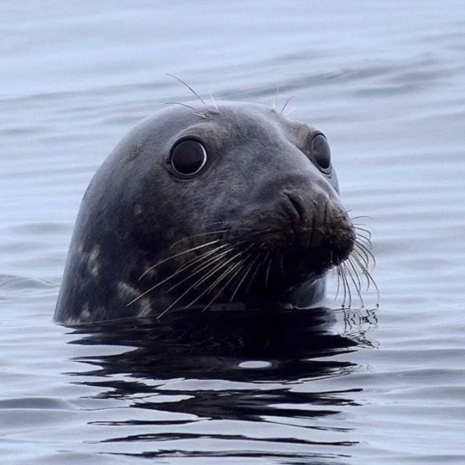 Image du participant