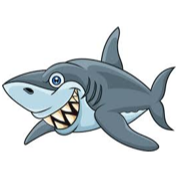 Image du participant