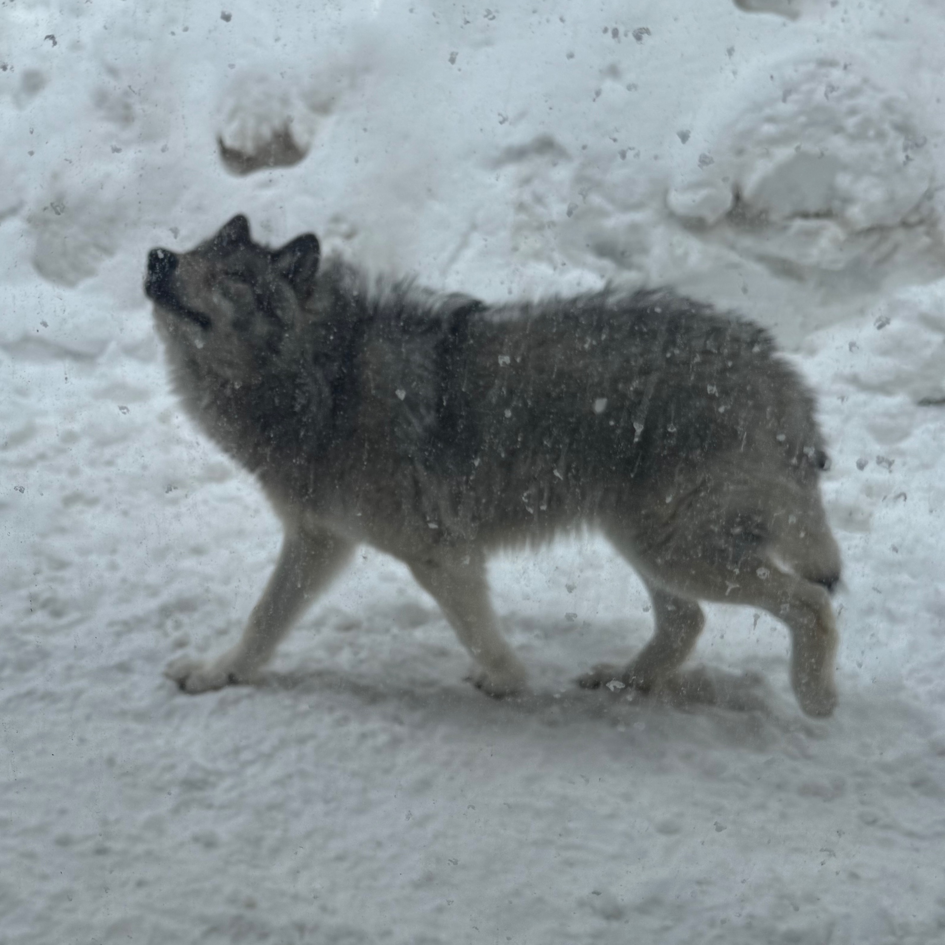 Image du participant