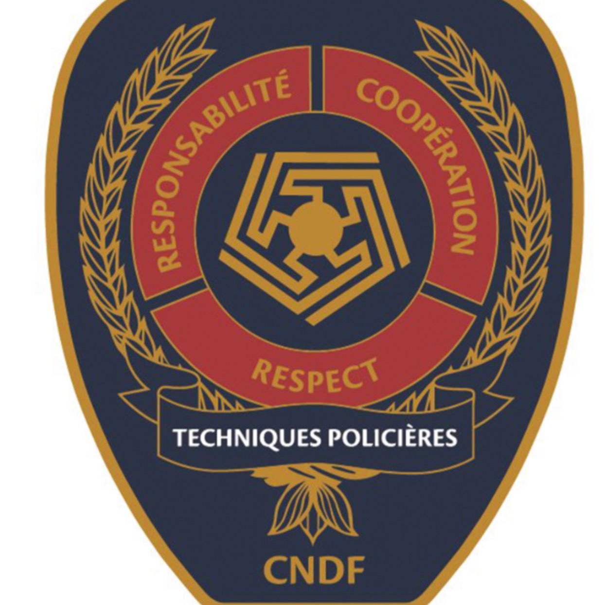 Image de l'équipe